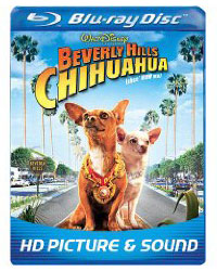 BeverlyHillsChihuahua.jpg