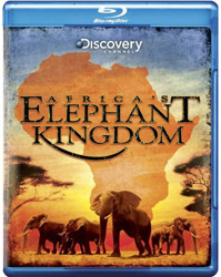 elephantkingdom.jpg