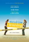 sunshinecleaning.jpg