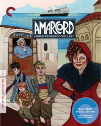 Amarcord-BD-WEB.jpg