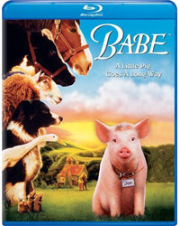 Babe-BD-WEB.jpg