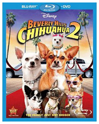 BeverlyHillsChihuahua2.jpg