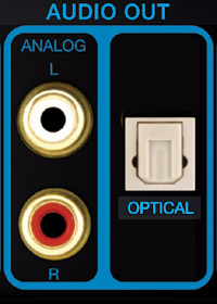 Analog and Fiberoptic Digital Outputs