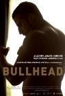 Bullhead.jpg