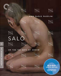 Salo-BD-WEB.jpg