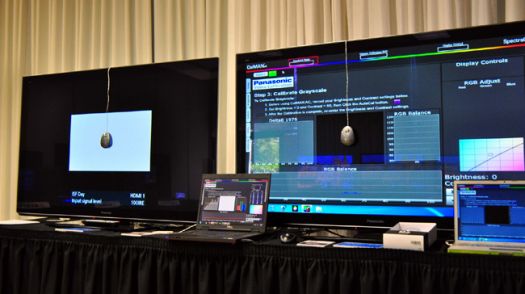 calman-panasonic-event.jpg