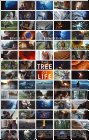 thetreeoflife.jpg