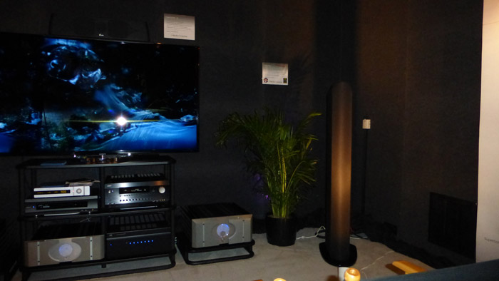 P1020075-golden-ear-cedia-2.jpg