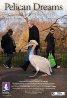 Pelican_Dreams.jpg