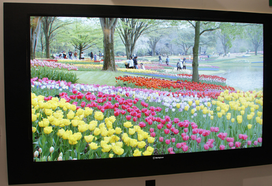 Westinghouse-110-inch-UHDTV.jpg